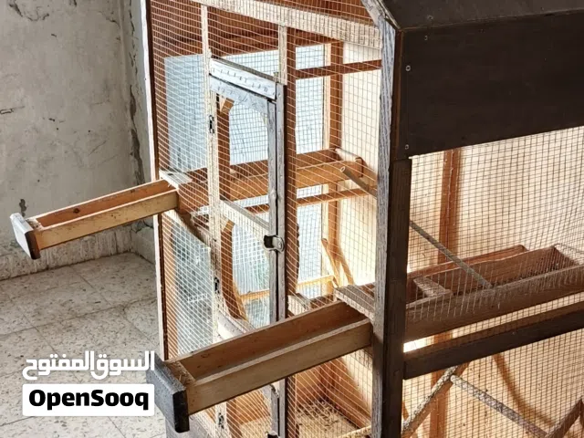 مطير عصافير للبيع