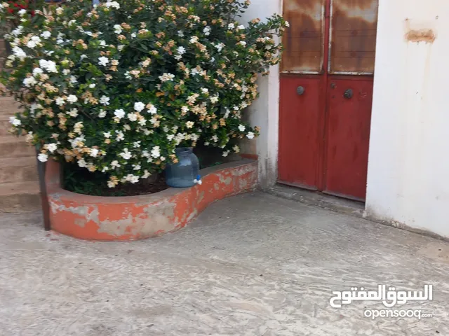 محلات للايجار