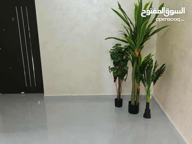 شقة للاستثمار او السكن الفوري