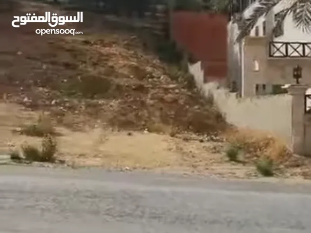 أرض مميزة لفيلا 1000 م سكن خاص خلدا محاطة بالفلل لقطة أفضل سعر يالمنطقة