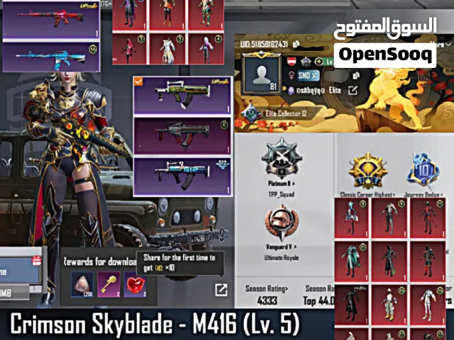 Pubg Accounts and Characters for Sale in Beirut
