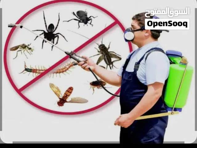 شركة رش حشرات في المدينه المنوره
