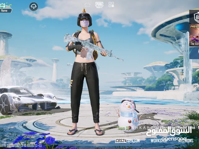 Pubg Account Available for sale Rare Account 78 Collection Level Good Skins