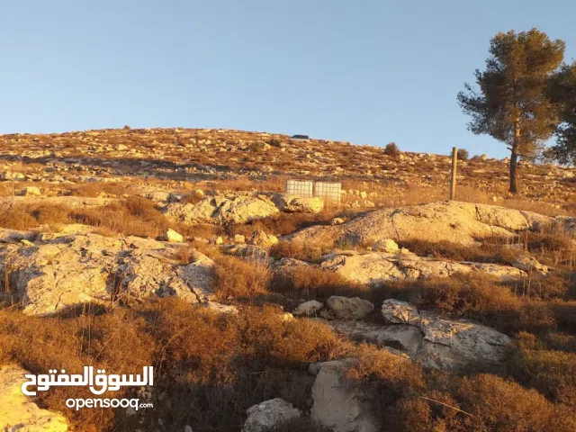 Residential Land for Sale in Hebron Dura