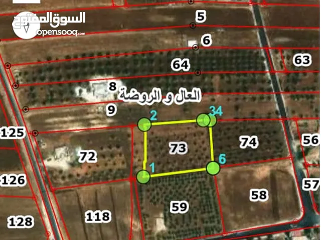 Residential Land for Sale in Amman Al-'Al