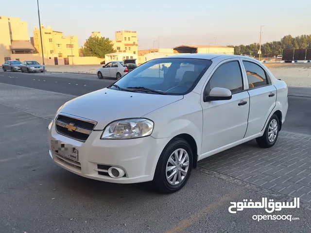 بيعه سريعه شفر إفيو 2016