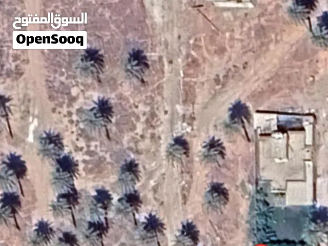 قطعة ارض زراعي للبيع في منطقة البعيثة