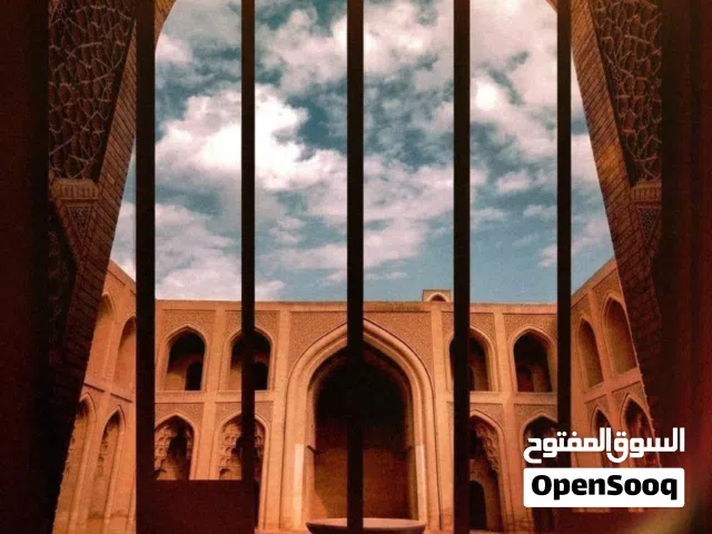 مصممة جرافيك - تصاميم سوشيال ميديا وبوسترات احترافية