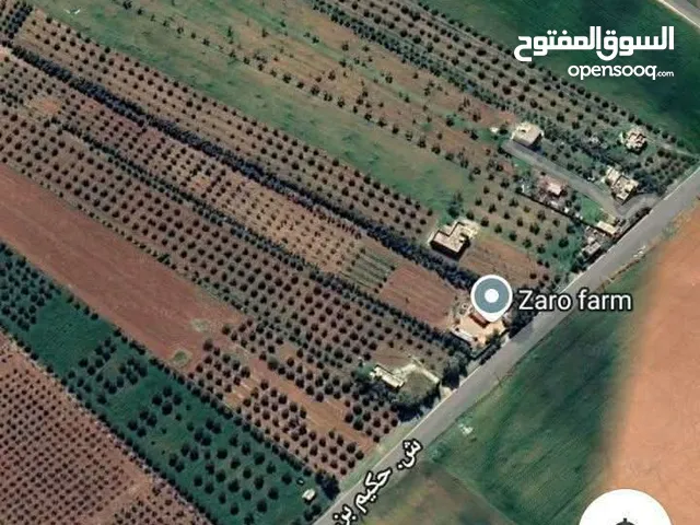 Mixed Use Land for Sale in Madaba Hanina Al-Gharbiyyah