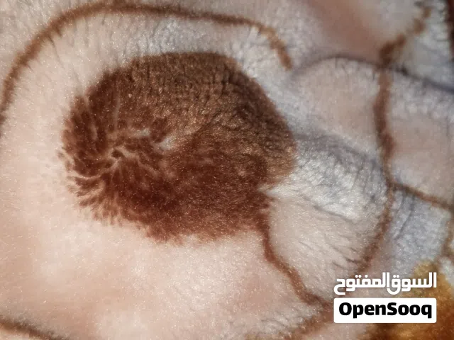 ملابس اطفال بحال الجديد وفي قطع جديدة وملابس متنوعة ستاتي ورجالي