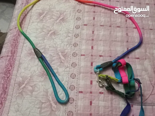قطط لتبر بوكس وشطنه ولاكل