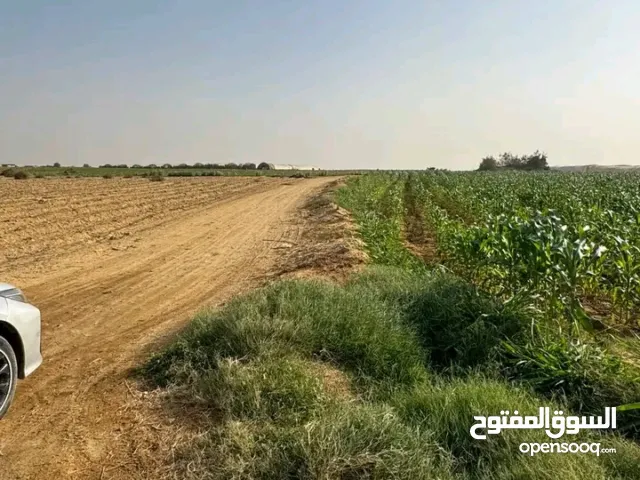 Farm Land for Sale in Fayoum New Fayoum