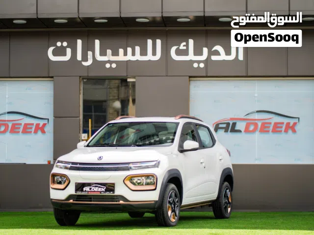 2023, دونج فينج, EX1