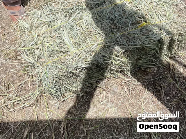 حشيش للبيع