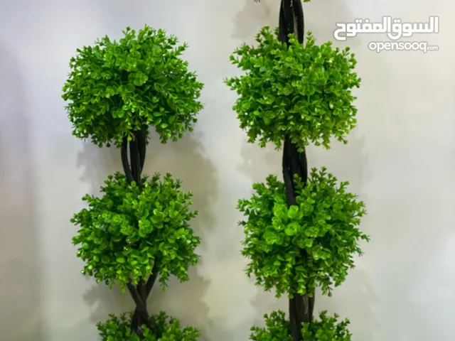 مزهريات واشجار