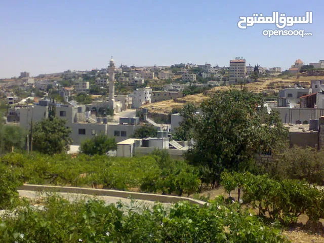 140 m2 3 Bedrooms Apartments for Rent in Hebron Halhul