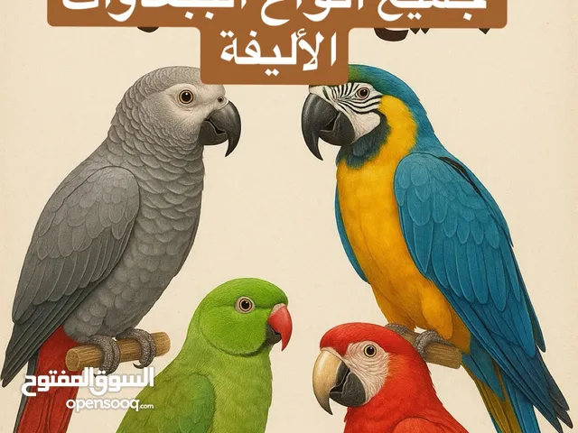 مطلوبببببببب
