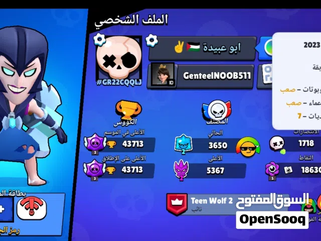 Accounts - Others Accounts and Characters for Sale in Amman