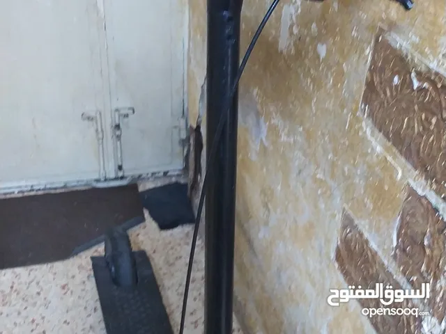 سكوتر بيرد