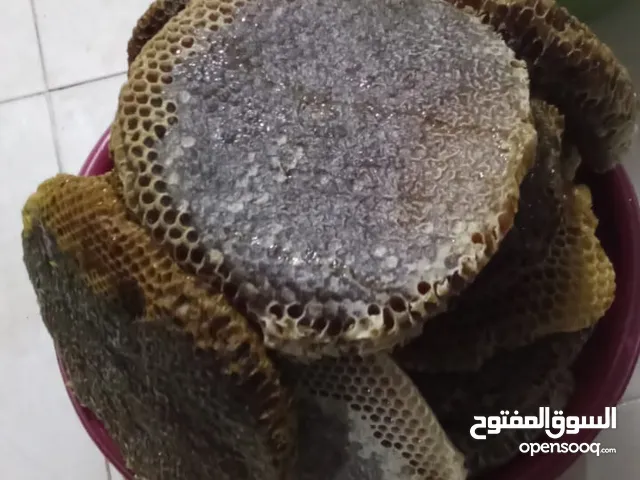 عسل الأعشاب الطبيعية الزعتر البري والازهار البرية