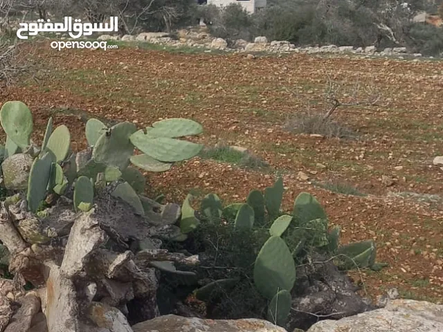 Residential Land for Sale in Ramallah and Al-Bireh Abu Shukhaydam