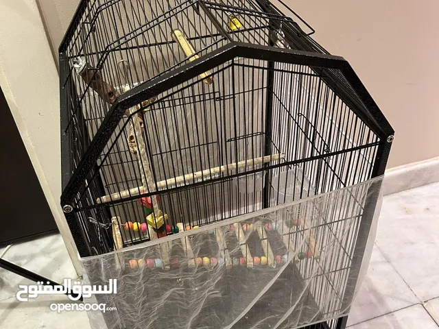 قفص ببغاء للبيع مع العاب