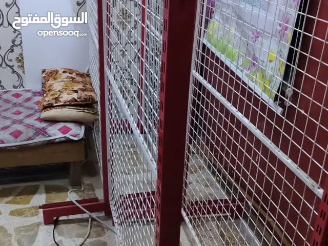 سفينة اسواق