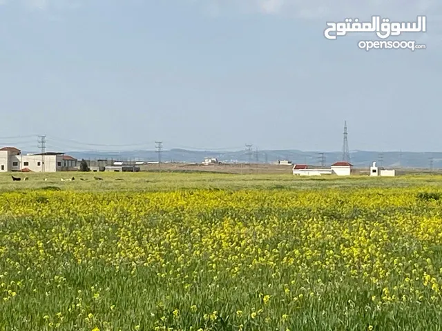 Residential Land for Sale in Irbid University of Science and Technology