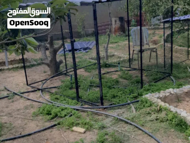 قفص دجاج حاجة منظمة وانيقة