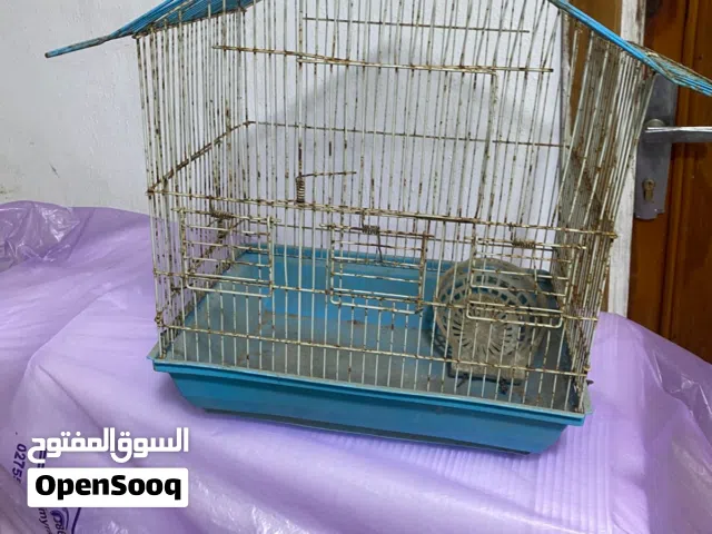 اقفاص عصافير عدد 4