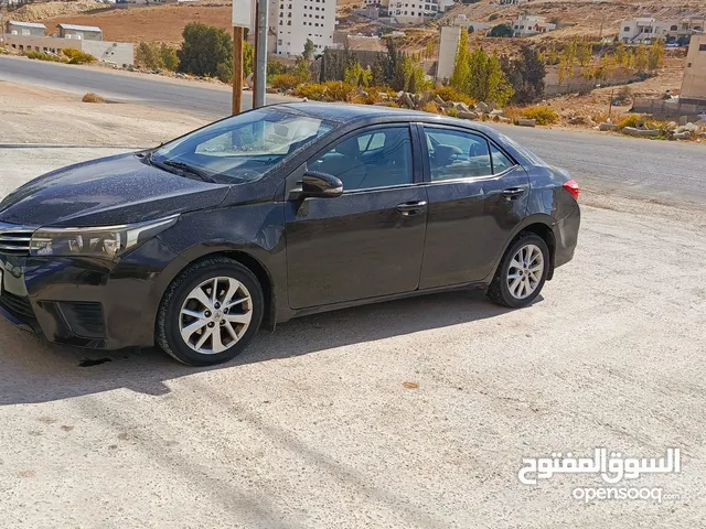 Used Toyota Corolla in Amman