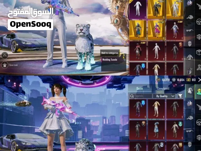 Pubg Accounts and Characters for Sale in Ibb