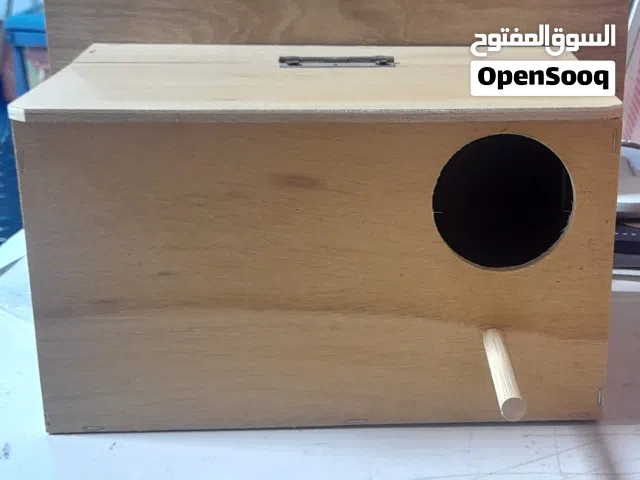 بيت تفريخ طيور كوكتيل