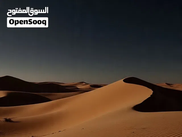 سايق خاص حايل