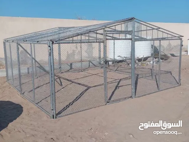 الجمال والابقار والطيور والاغنام