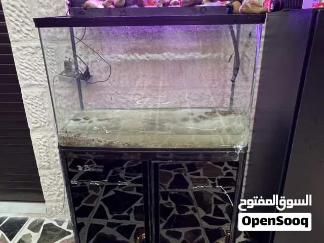 حوض سمك للبيع