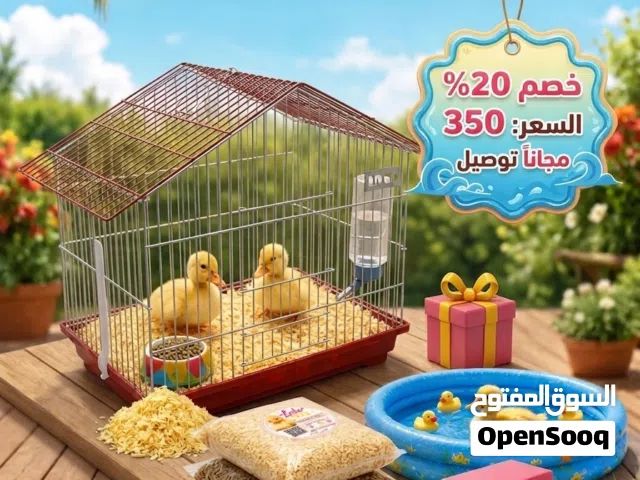 عروض المزرعة اليوم دجاج وبط ومنتجات طازجة