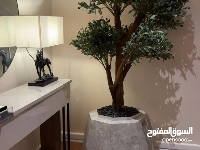 شجرة زيتون مع فازة