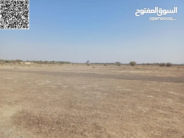 Residential Land for Sale in Ajman Manama