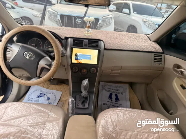 كوريلا شاذه 2013