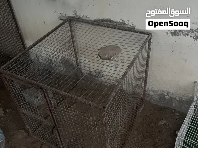 قفص م عليه كلام ونضيّق