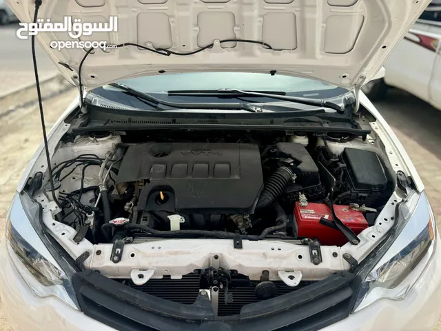 Used Toyota Corolla in Muscat