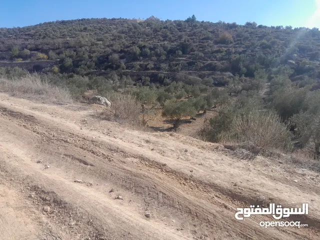 Mixed Use Land for Sale in Hebron Surif