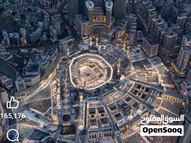 مدرس لغة عربية وقرآن كريم وتجويد عن بعد