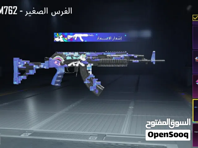 Pubg Accounts and Characters for Sale in Amman