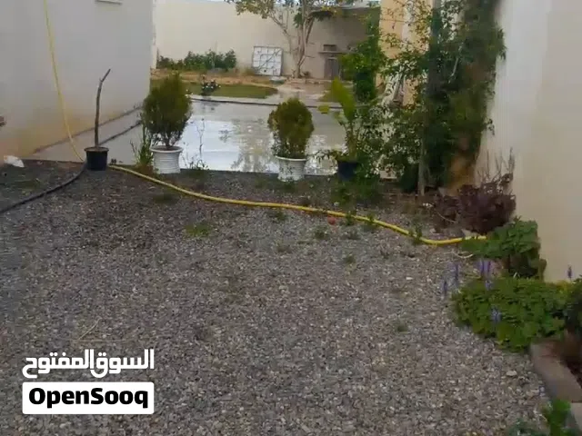 استيدو للايجار