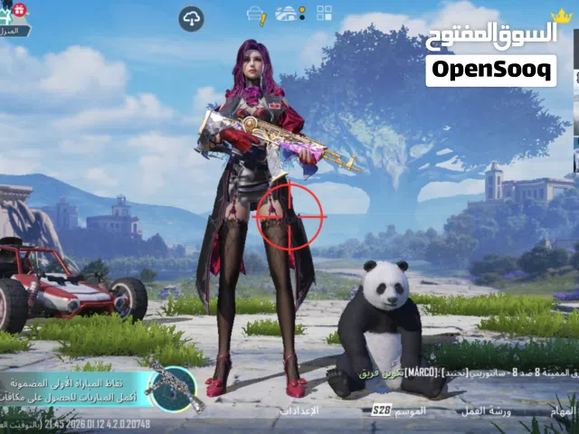 Pubg Accounts and Characters for Sale in Al Ahmadi