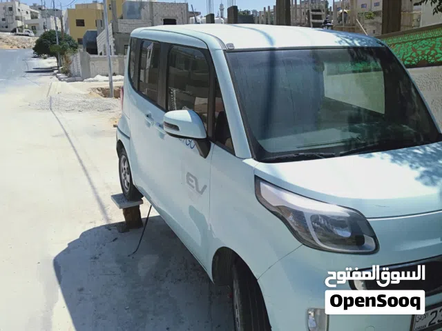 2013 كيا راي EV