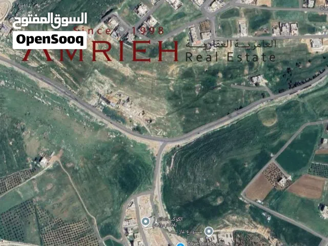Residential Land for Sale in Amman Al-Dmenah