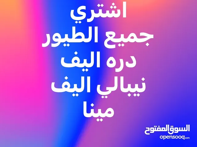 مطلوب زوج دره اليف لو تك